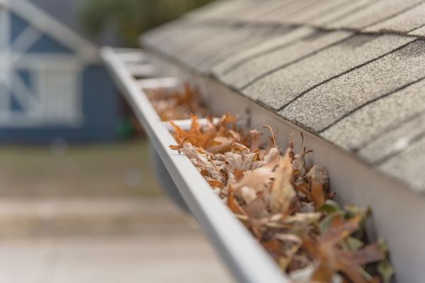 Leaf Barrier Installation in New Bern